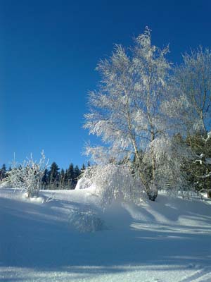 Schnee Schnee
