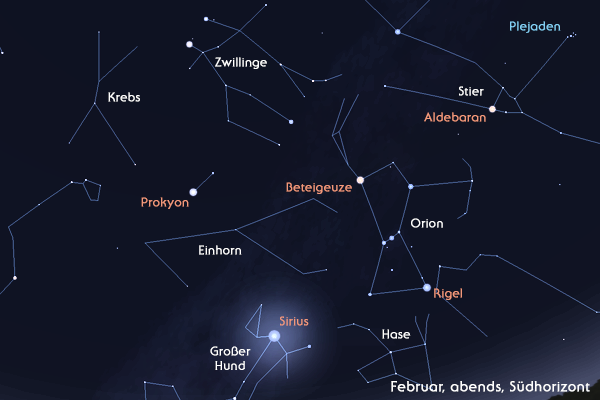 Orion und Hunde