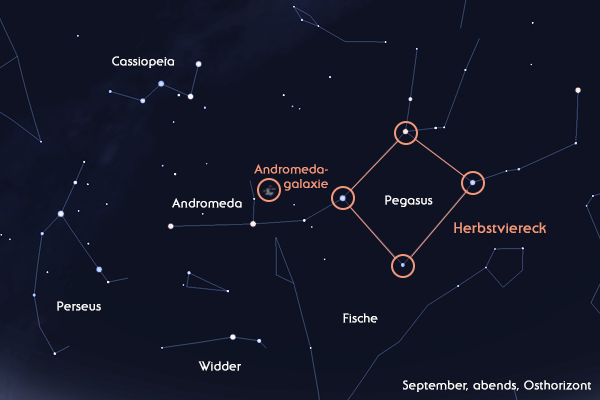 Pegasus und umgebende Sternbilder