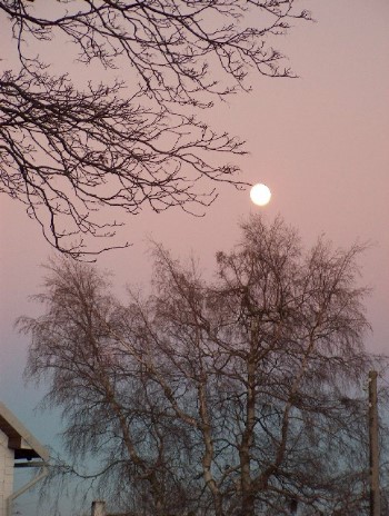Vollmond im Dezember