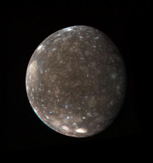 Kallisto