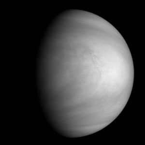 Venus Venus