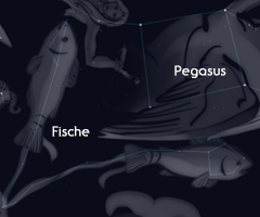 Fische