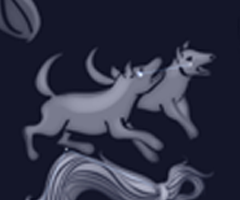Jagdhunde