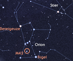 Orion