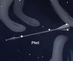 Pfeil