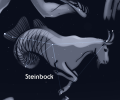 Steinbock