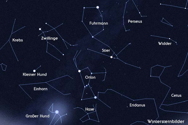 Stier Fuhrmann und Orion